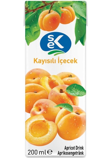 Kayısılı Içecek 200 ml x 27