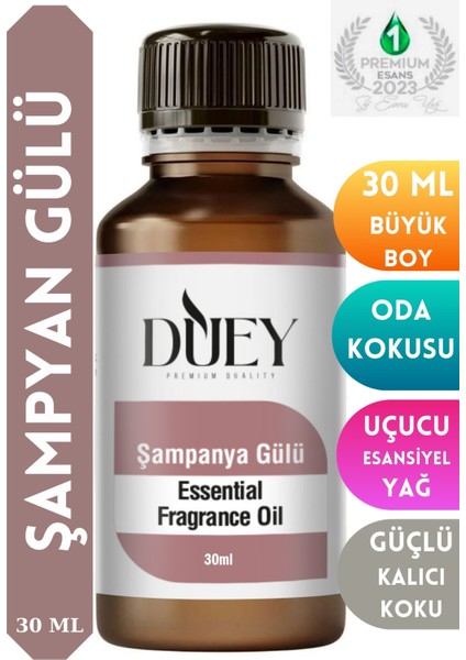 Şampanya Gülü Uçucu 30 ml Buhurdanlık Yağı Difüzör Esansı Oda Kokusu Hava Nemlendirici