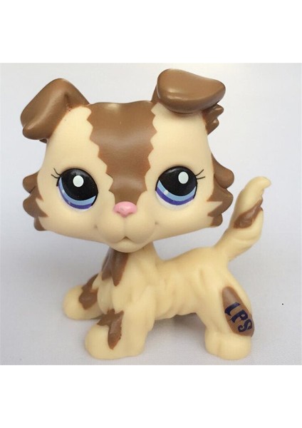 Nadir Hayvan Pet Shop Lps Oyuncaklar Kırmızı Kısa Saçlı Kedi Pembe Siyah Orijinal Şekil Siyah Collie Yavru Horoz Ispanyol Büyük Dane Çocuk Hediyeler (Yurt Dışından) fiyatları