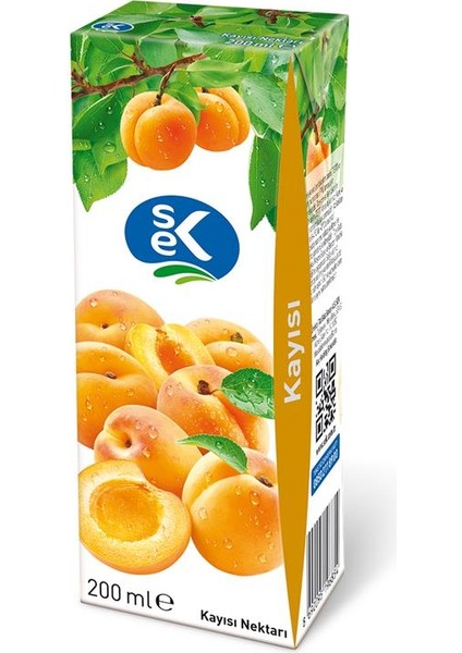 Kayısı Nektarı 200 ml x 27