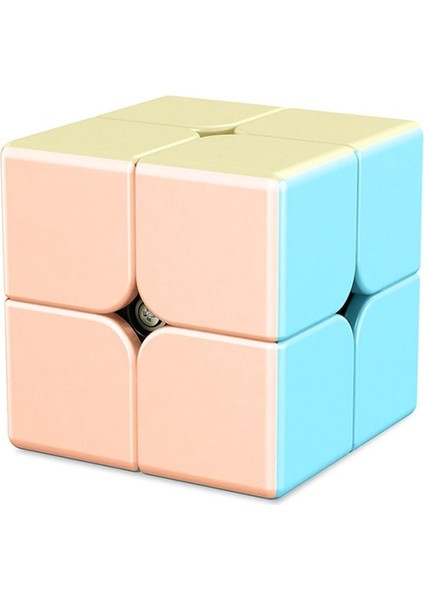C-3X3X3 ve 2 2 Karbon Fiber Etiket Sihirli Küp Bulmaca 3x3 Hız Cubo Magico Kare Bulmaca Hediyeler Çocuklar Için Eğitici Oyuncaklar (Yurt Dışından)
