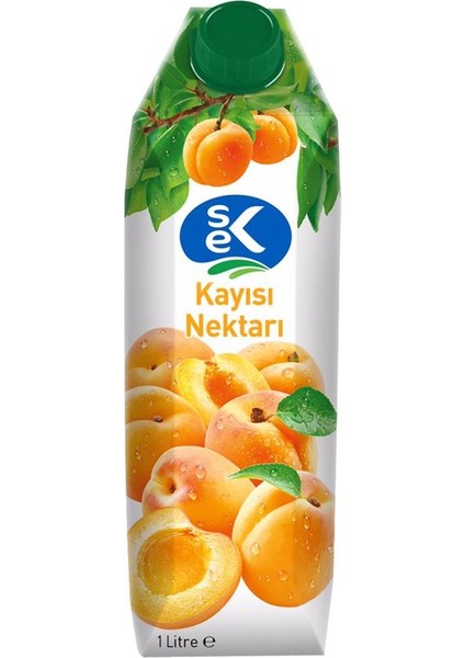 Kayısı Nektarı 1 L x 12