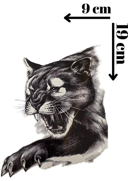 Geçici Kedi Figürlü Dövme Tattoo