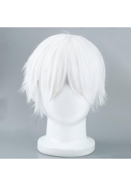Cosplay Karakterleri Için Erkek Beyaz Peruk Düz Kısa Sentetik Peruklar (Yurt Dışından) fiyatları