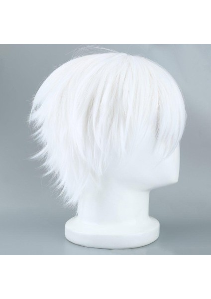 Cosplay Karakterleri Için Erkek Beyaz Peruk Düz Kısa Sentetik Peruklar (Yurt Dışından) modelleri