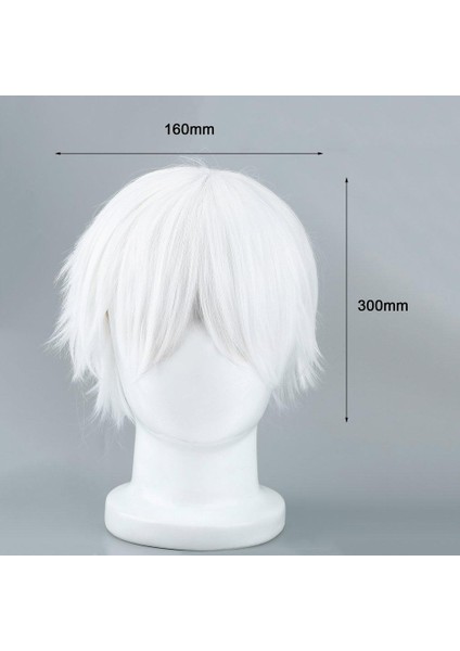 Cosplay Karakterleri Için Erkek Beyaz Peruk Düz Kısa Sentetik Peruklar (Yurt Dışından) fırsatları