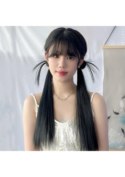 Önerilen Peruk Kadın Tatlı Uzun Düz Daze Saç Düşük Kravat Çift At Kuyruğu Simülasyon Saç (Yurt Dışından) modelleri