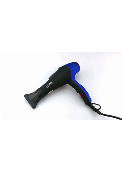 Profesyonel Iyonik Saç Kurutma Makinesi Fön Makinesi Elektrikli Saç Blower Saç Stili Aracı Yüksek Güç (Yurt Dışından)