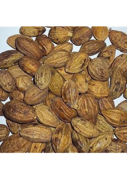 Sarı Halile Çekirdeği 250 Gram