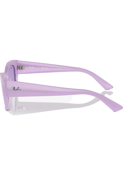 RB4427 67581A 49 Kadın Güneş Gözlüğü fiyatları