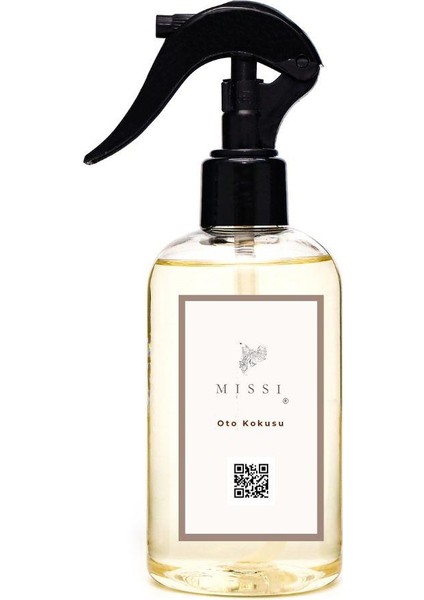 250 ml Ocean Breeze Oto Kokusu/spreyi