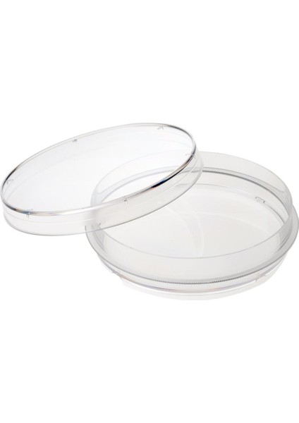 Cam Petri Kabı Kutusu 100 x 15 mm
