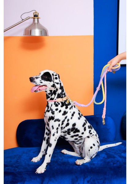 ‘’ Pera ‘’ Eller Serbest - 2 Parça Köpek Gezdirme Seti indirimleri