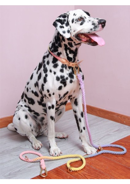 ‘’ Pera ‘’ Eller Serbest - 2 Parça Köpek Gezdirme Seti