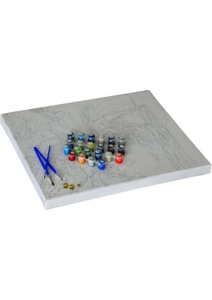 Van Gogh Yıldızlı Geceler Sayılarla Boyama Seti 50x65 cm (Tuvale Gerili) modelleri