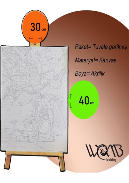 Womb Hobby Leopar Çocuklar Için Sayılarla Boyama Seti 30X40 cm (Tuvale Gerili)