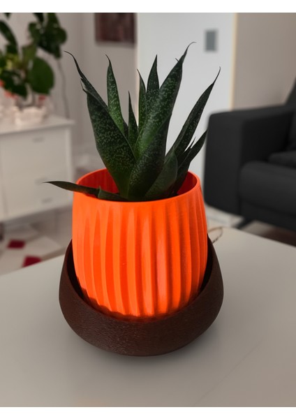Modern Saksı - Masa ve Raflar İçin İdeal