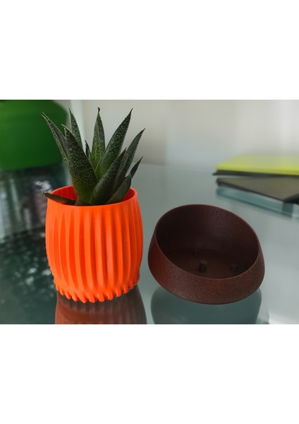 Modern Saksı - Masa ve Raflar İçin İdeal modelleri