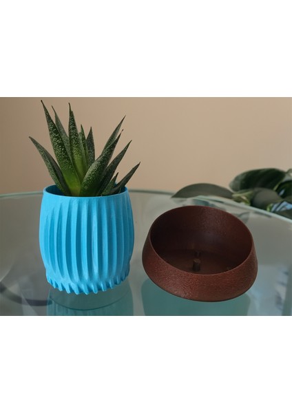 Modern Saksı - Masa ve Raflar İçin İdeal modelleri