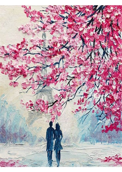 Pariste Bahar Sayılarla Boyama Seti 40X50 cm (Tuvale Gerili)