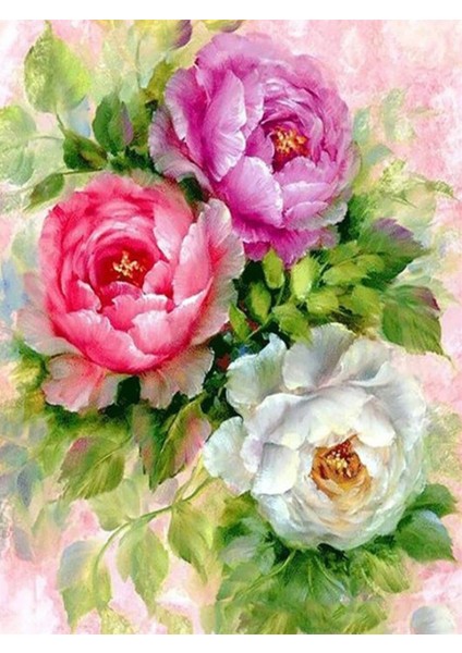 Güllerin Tonları Sayılarla Boyama Seti 40X50 cm (Tuvale Gerili) fiyatları