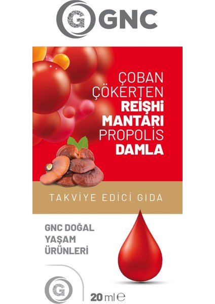 Reishi Mantarı Ekstratı