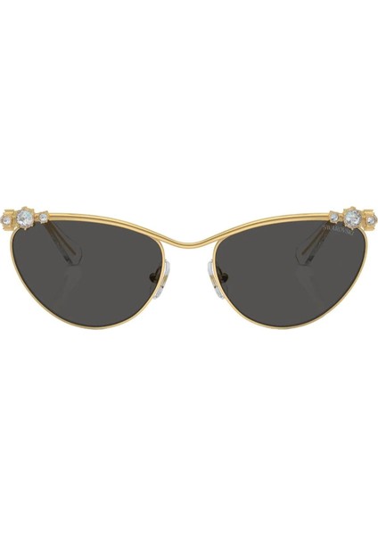 Swarovskı Gunes 0SK7017 400487 58 fiyatları