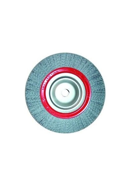 Pro Daire Tel Fırça 100X13 mm