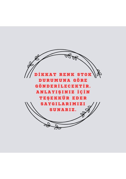 Yazılıp Silinebilen Yazı Tableti 8.5 İnç Manyetik Tablet Resim İçin Eğitici 1 Adet