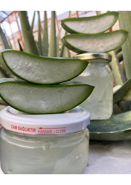 Aloe Vera Jel Doğal 1000 ml Ilaçsız Üretim