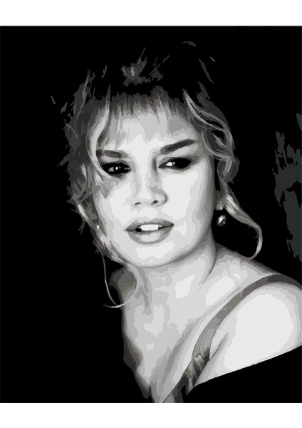 Sezen Aksu Sayılarla Boyama Seti 40X50 cm (Tuvale Gerili)