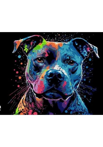 Neon Pit Bull Sayılarla Boyama Seti (Tuvale Gerili)