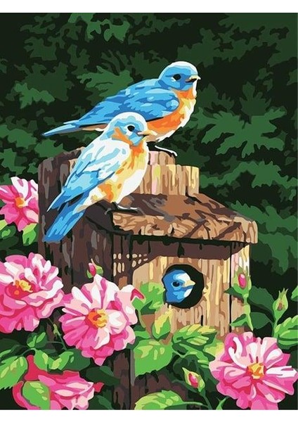 Kuş Yuvası Sayılarla Boyama Seti (Tuvale Gerili)