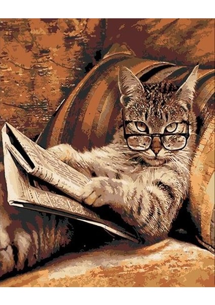 Emekli Tekir Sayılarla Boyama Seti (Tuvale Gerili)