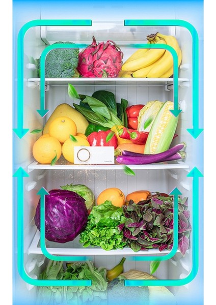 Buzdolabı Koku Giderici Taşınabilir Mini Koku Giderme Arıtma Gıda Giyim Için Ayakkabı Kutusu Deodorantı Koku Koku Giderici, Beyaz (Yurt Dışından) fırsatları