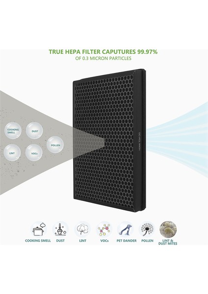 2 Adet TTAP003 TT-AP003 Hava Temizleyicileri Için Yedek Filtre H13 Sınıf Gerçek Hepa ve Aktif Karbon Filtre (Yurt Dışından)