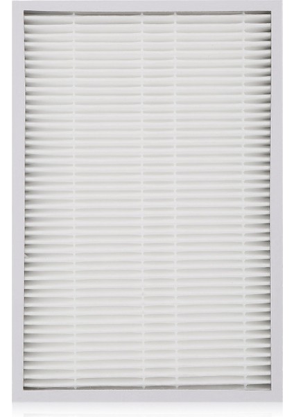 Ef-1 86889 Hava Temizleme Filtresi Için 6pcs 86889 Hepa Filtreler (Yurt Dışından) fırsatları