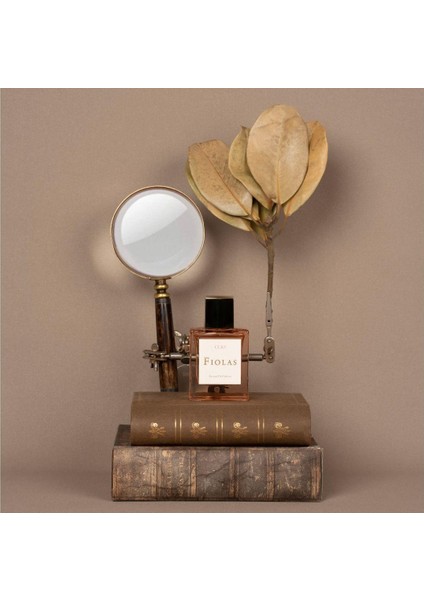 Clio Extrait De Parfum 50 ml