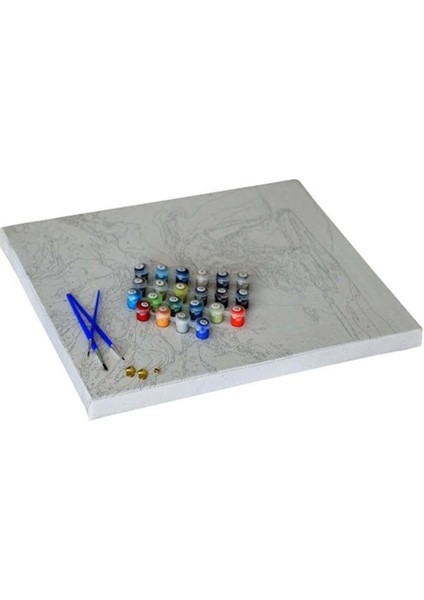 Melekler Sayılarla Boyama Seti 60x75 cm (Tuvale Gerili)