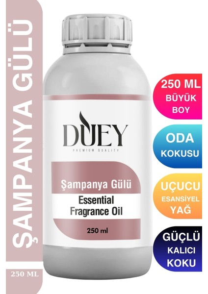 Şampanya Gülü Uçucu Yağ 250 ml Mum Esansı, Oda Kokusu, Hava Nemlendiricisi, Çamaşır Kurutma Topu