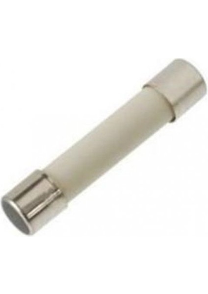 Seramik Sigorta 20.0A 250V (5X20MM) Yavaş x 1 Adet (RF068)