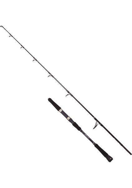 Novus S Kamış 100-300GR 180CM