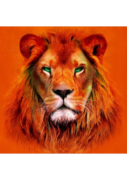 Aslan , Turuncu Tonlarda Dekoratif Kanvas Tablo 50 x 70