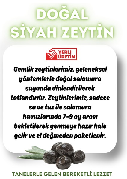 Doğal Gemlik Özel Siyah Zeytin 900 gr (261-290) M