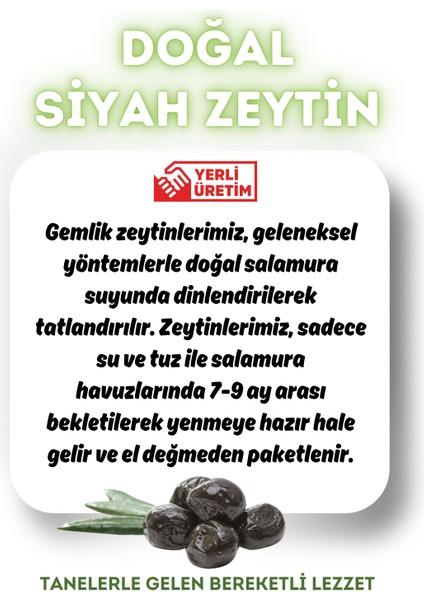 Doğal Gemlik Hususi Siyah Zeytin 900 gr (351-380) 2XS