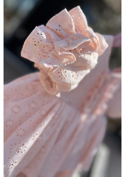 Bertuğ Kız Çocuk Abiye Elbise Dantel ve Büzgü Detaylı Pudra Pembe Özel Günler İçin fiyatları