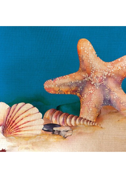 Deniz Yıldızı ve İstiridye Kanvas Tablo 50 x 70