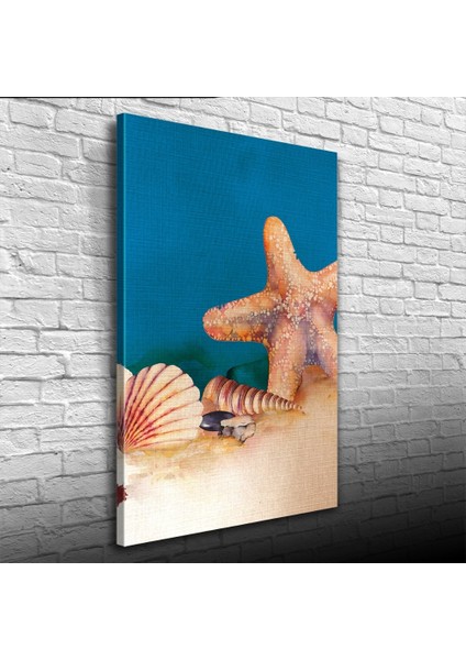 Deniz Yıldızı ve İstiridye Kanvas Tablo 50 x 70 fiyatları