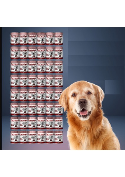 Ekonomik 48 Adet Yetişkin Köpek Konservesi - Biftekli 400 gr