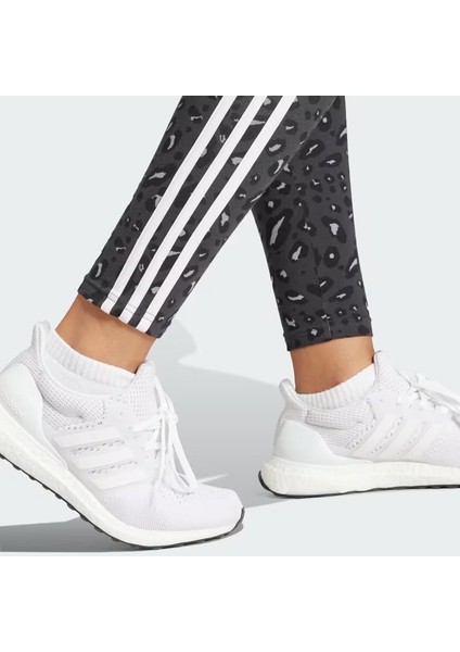 Anml 3S Leg Kadın Tayt IN9933